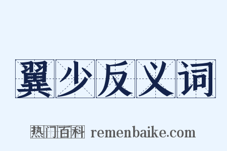 翼少反义词是什么意思的图片
